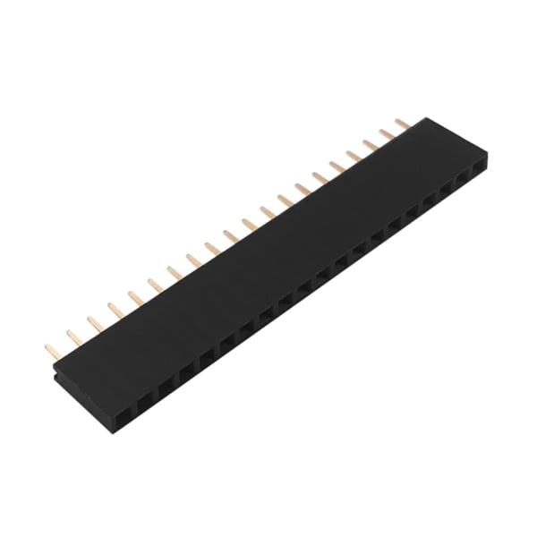20 Pins header Female